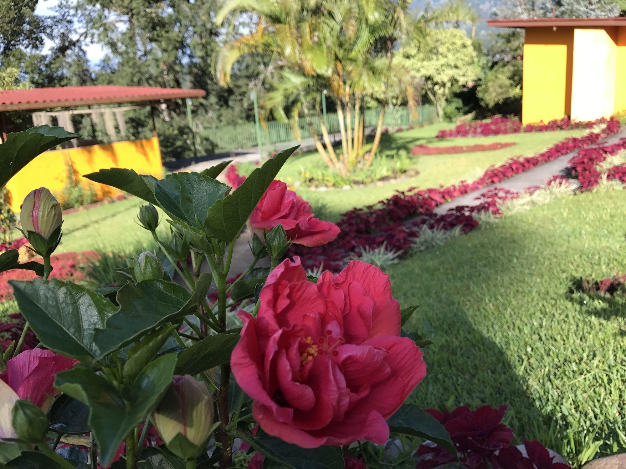 Santuario Lodge Agro-Hotel Boquete Eksteriør billede