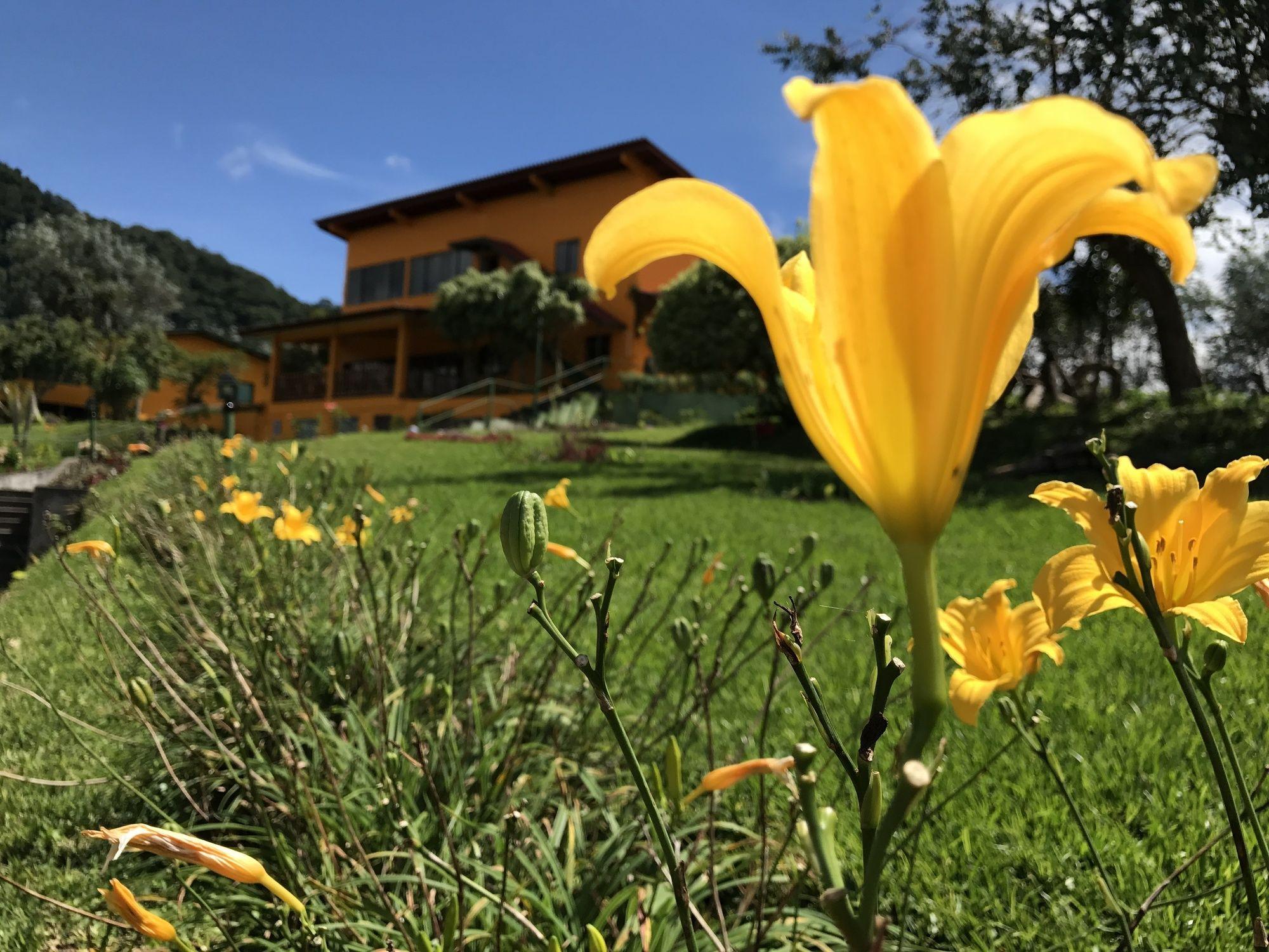 Santuario Lodge Agro-Hotel Boquete Eksteriør billede